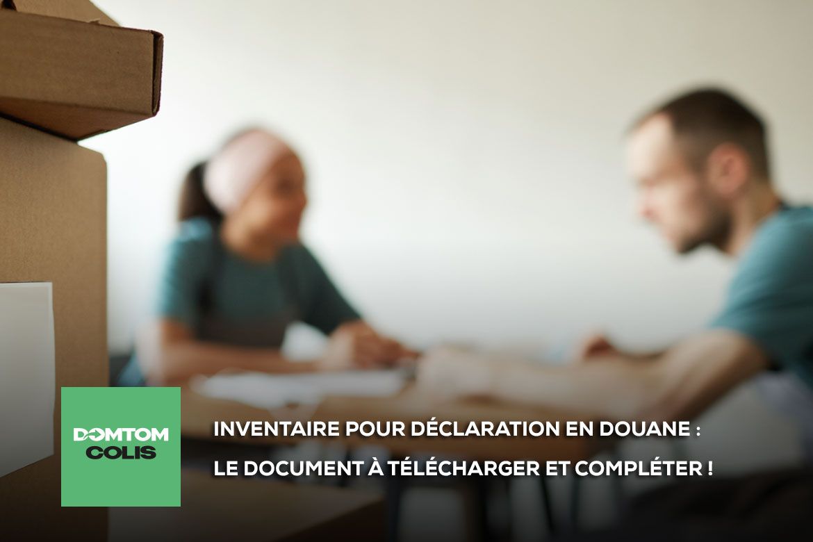DOMTOM COLIS Déménagement, transport, colis, fret vers et depuis les antilles